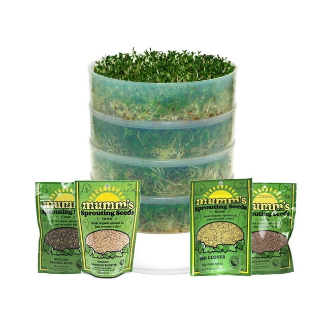 4 plateaux de germination de semences Victorio avec sachet de démarrage