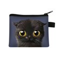 thumbnail image 1 of Monedero de gato de dibujos animados para mujer, tarjetero, monedero de cambio hecho a mano, carteras pequeñas, bolso de embrague con cremallera, Mini billetera de gato, nuevo LIUWENJING unisex, 1 of 2