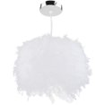 thumbnail image 4 of Feather Chandeliers For Living Room, Living Room Pendant Light With Soft Warm Light And Easy Installation, Inner Diameter 20 Cm Outer Diameter 30 Cm Height 30 Cm, 4 of 6