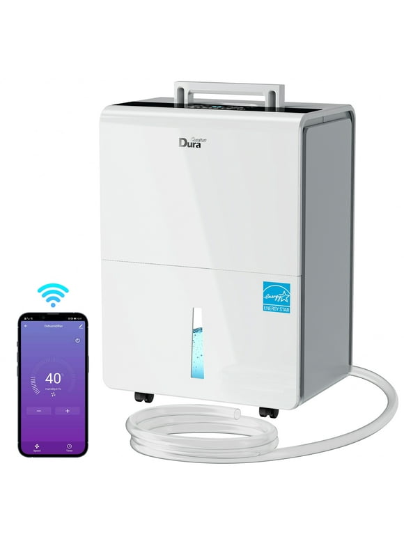 Basement Dehumidifiers in Dehumidifiers