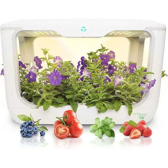 Hydroponics Growing System with Grow Lights for Indoor Herb Garden, Modular Hydroponics Beginners Kits by Nutrabinns