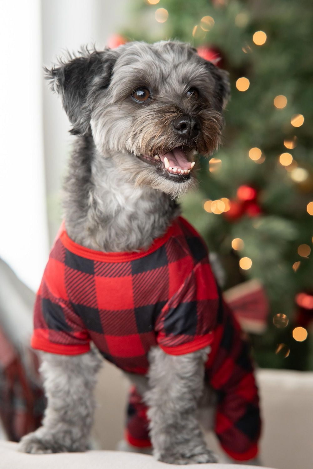 Vibrant Life Checkered Pet Holiday PJ for Pets - Dog and Cat Pajamas - Red