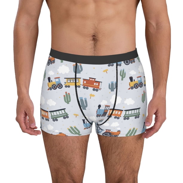 Balery Trains And Cactuse Calzoncillos bóxer para hombre, ropa interior de algodón suave y transpirable con cinturilla de nailon-Large