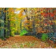 thumbnail image 2 of Gulin, Sylvia 32x24 Black Ornate Wood Framed with Double Matting Museum Art Print Titled - USA-New Hampshire leaf covered lane Autumn colors and stone fence, 2 of 4