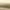 Gold, variant on BLISSFUL STEP Women's Clear Slide Stiletto Heel Clear Sandals Beige (Size 6)