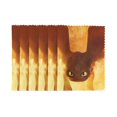 thumbnail image 1 of Cómo entrenar a tu dragón Juego de 6 manteles individuales resistentes al calor para mesa de comedor, manteles individuales de tela, manteles individuales de primavera para cocina, para interior y, 1 of 7