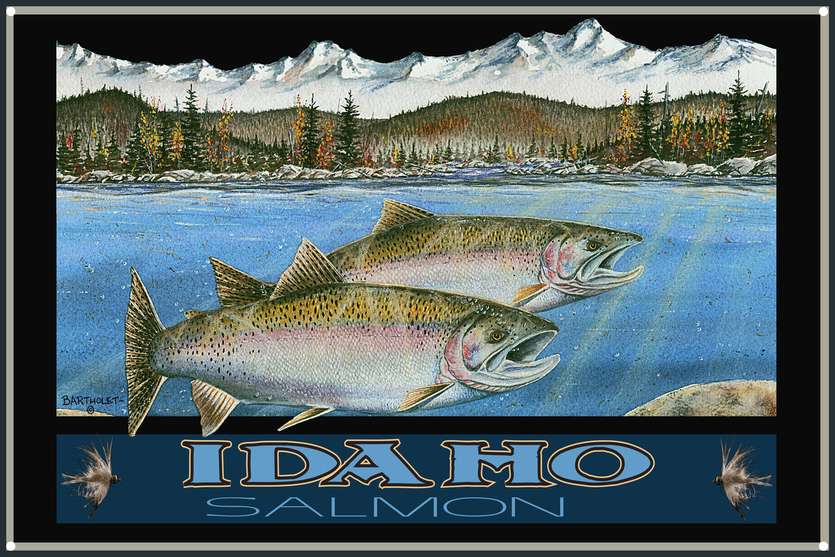 Idaho Salmon Metal Art Print by Dave Bartholet (12" x 18") Walmart