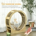 thumbnail image 4 of PawHut 36" Cat Wheel for Indoor Cats with Brake, Scratching Pads, Oak, 4 of 10