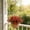 #206Red, variant on Disco*unt!Artificial Eucalyptus and Violet Plastic Flowers Home Garden Decor, UV Resistant Faux Spray for Outdoor Porch Planter, Silk Greenery Bouquet for Indoor Arrangement