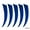 darkblue, variant on CNKOO Arrow Fletching Arrows Feathers Archery 4inch 50pcs Turkey Feather Fletching Right Wing Kit for DIY Hunting Arrows Target Arrow