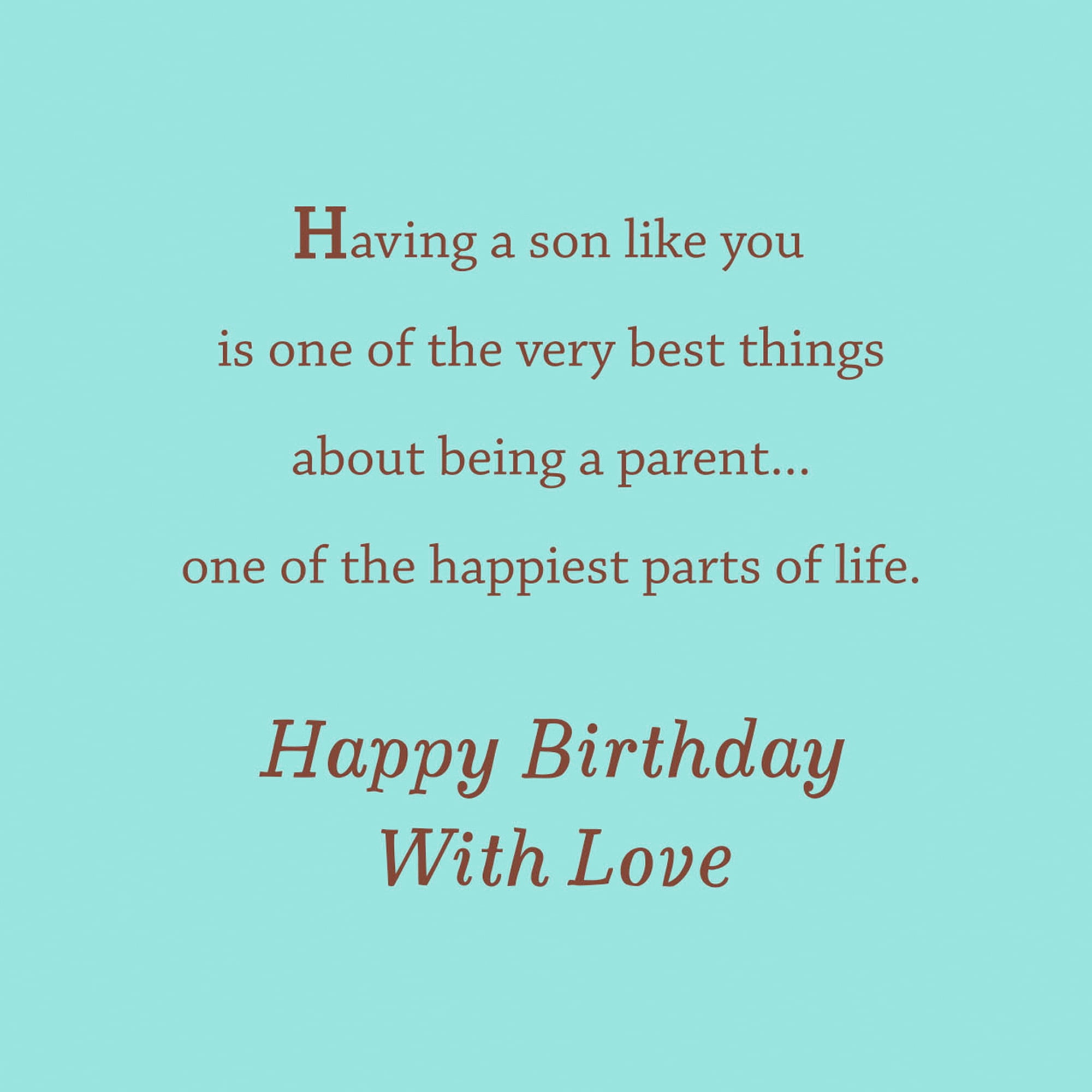 Hallmark Birthday Card for Son (You Are a Happy Blessing)
