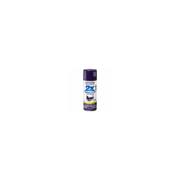 Painter's Touch Purple Spray Paint 334042