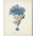 thumbnail image 2 of Great Art Now Antique Coral in Navy by Johann Esper 2 Piece Canvas Art Set Each 12"W x 15"H, 2 of 3