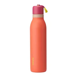 Owala 16oz Kid's FreeSip Stainless Steel Water Bottle, Misty