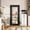 Black-1-Lite Mirror, variant on HUMEHA 32"x80" 1-Lite Mirror Black French Door Solid Core Primed