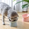 thumbnail image 4 of Posture Inclinée Surélevée pour Bol de Nourriture pour Chat, Cou pour Protection Anti-Vomissement, Bol Surélevé à Support Incliné à 45 Degrés, Bol-Bol Incliné pour Chat Diamètre Env. 13,7 Cm/5,39 Po, 4 of 5