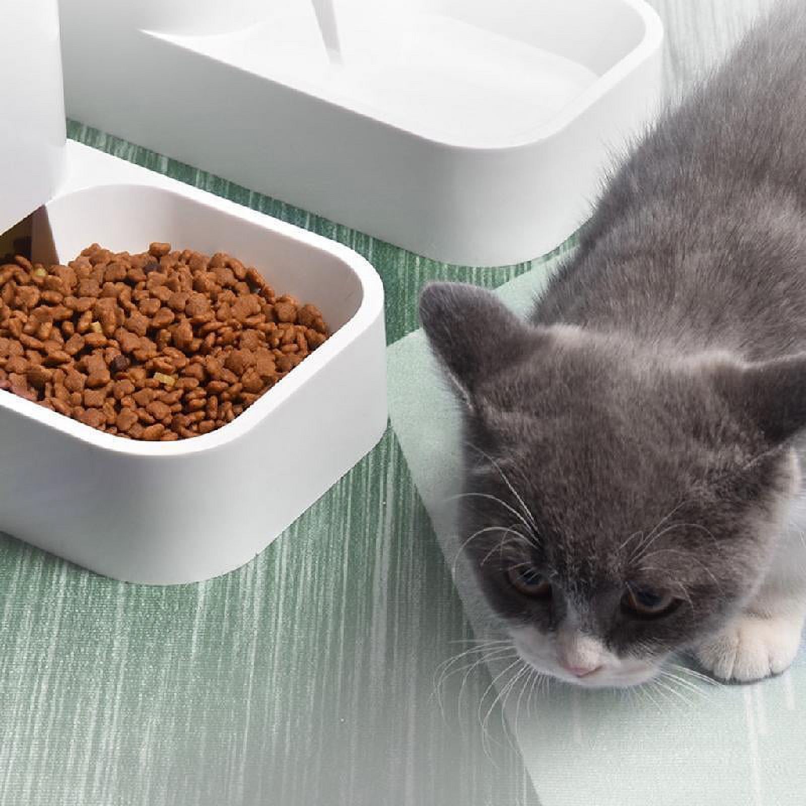 MANNYA Automatic for Cat Feeder Kibble Dispenser Large Capacity for Small Medium Large Dog Pets Puppy Kitten Easy to Use