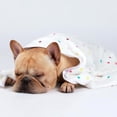 thumbnail image 4 of 1 Pack 3 Blankets Super Soft Cute Dot Pattern Pet Blanket Flannel Throw for Dog Puppy Cat Beige/Brown/Pink Small, 4 of 4