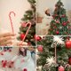 thumbnail image 4 of 6 Bastones de caramelo navideños para colgar adornos para árbol de Navidad NQ, 4 of 5
