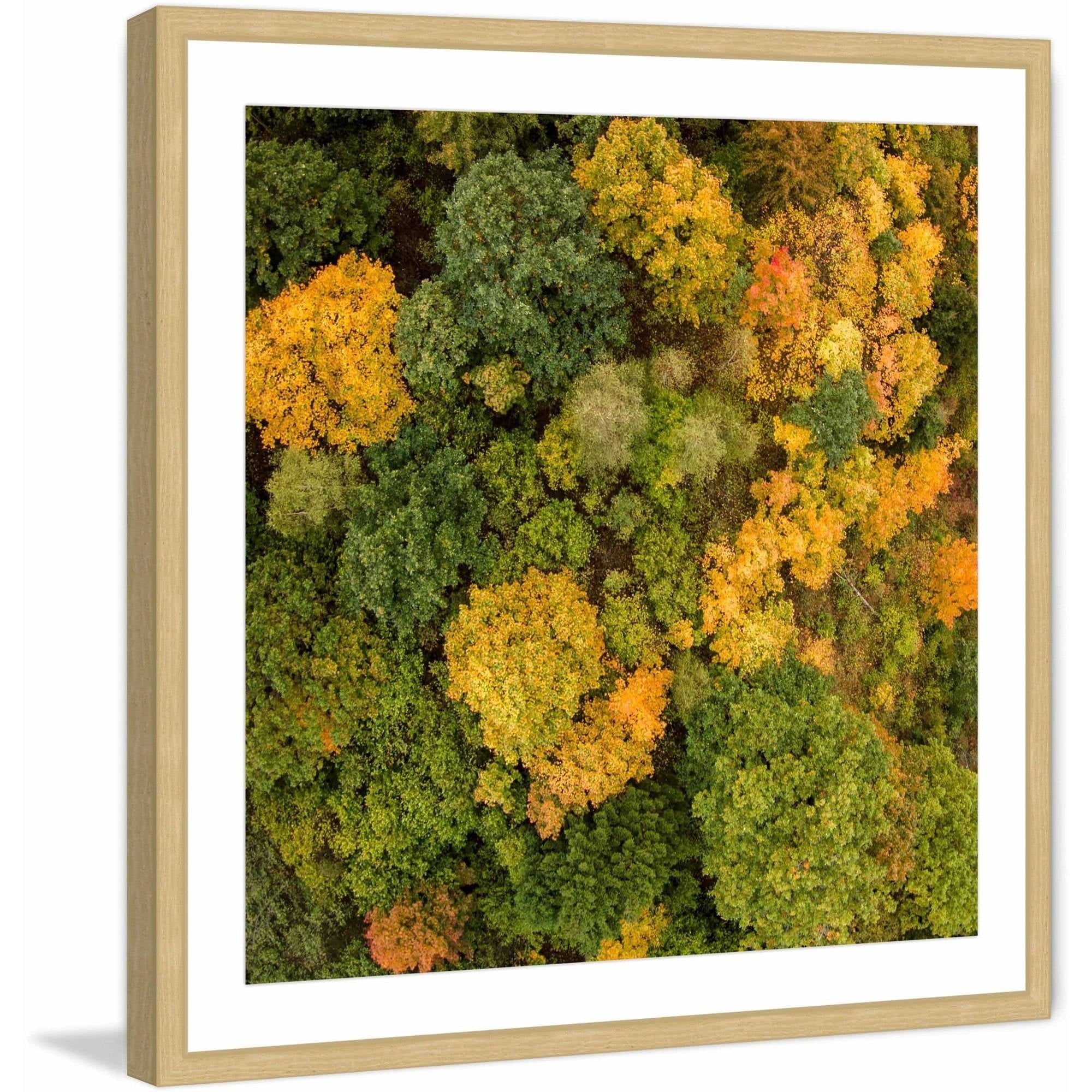 Marmont Hill "Bush Bunch" by Karolis Janulis Framed Painting Art Print