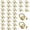Golden A, variant on 32pcs Rotatable D Rings Purse Bag Hardware Accessories, Metal Buckles D Rings Hardware with Screws for DIY Leatherwork Craft Bag Accessories Handbag Strap Connectors