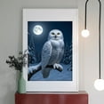 thumbnail image 2 of Diamond Art Kit for Adults, Snowy Owl Moonlit Forest Night Diamond Painting for Adults Beginners, DIY Diamond Art Painting Kits, 5D Diamond Painting Crafts for Home Decor 12x16 Frameless, 2 of 7