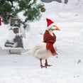 thumbnail image 2 of 1 Pieza De Decoración Artística Para Jardín Con Pato Navideño Decoración Para Jardín Con Pato Navideño Decoración Para Jardinería Para Exteriores, 2 of 3