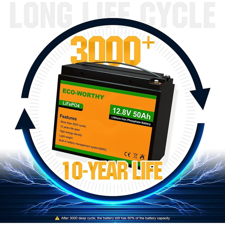 ECO-WORTHY 12Volts 50Ah LiFePO4 Lithium Battery with BMS, Perfect for 55lb Boat Motor Travel Trailer, Size: 12V 50Ah