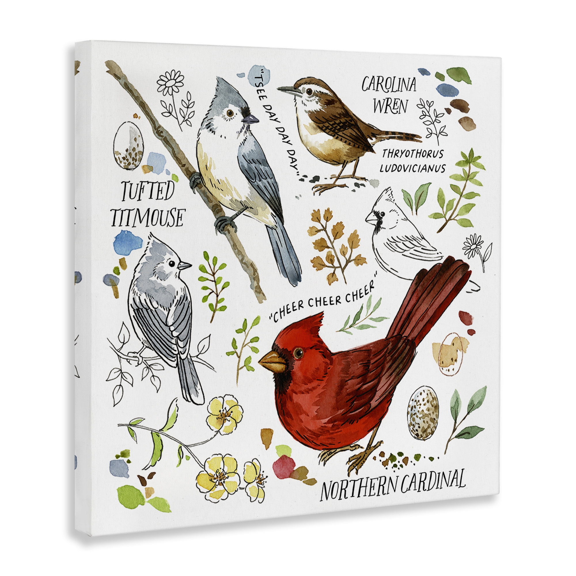 Stupell Industries Bird Watching Chart Animals Painting Wrapped Canvas Art Print Wall Art, 30 x 30