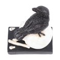 thumbnail image 5 of Skeleton Figurine Scary Rich Details Vibrant Colors Strong Resin Stable Skull Figurine for Halloween Decoration Crow On Skull, 5 of 5