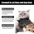 thumbnail image 4 of 1-3 piezas de aerosol para aliviar la picazón en gatos y perros, aerosol contra la tiña en gatos, protege y cura la picazón de la piel irritada, alivia las erupciones e infecciones, 4 of 5