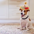 thumbnail image 3 of Sombrero De Paja Para Mascotas, Sombreros De Ojo Grande De Girasol Para Cachorros Y Kitt, Gorra Retro De Granjero, Gorra De Sol Para Gatos Y Perros, Sombrero Para Mascotas seitruly AP007659-01, 3 of 6