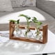 thumbnail image 4 of Estaciones de propagación de plantas de escritorio, florero de vidrio con forma de diamante con soporte de madera para plantas de aire hidropónicas, 4 of 5