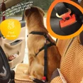 thumbnail image 4 of Pechera Perro Con Cinturon De Seguridad Mascretta Arnés, 4 of 8