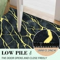 thumbnail image 3 of Bleum Cade Area Rugs for Doormat 2X3,Marble Swirl Abstract Rugs, Machine Washable Foldable Non Slip Outdoor Indoor Welcome Mat, 3 of 6
