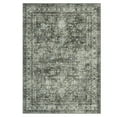 thumbnail image 1 of Machine Washable Area Rug for Living Room Bedroom - Non-Slip, Low Pile, Vintage Distressed Floral Carpet, Mark Resistant Collapsible Accent Rug for Dining Room Kitchen Entryway - Brown Green, 5x7ft, 1 of 15