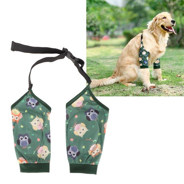 Chien de Récupération Réglable et Respirant Jambes avant Adaptables Membre de Chien Manches Prévenir Léchage Réglable Respirante Confortable Protecteur de Blessures aux Jambes pour Animaux de Compagnie