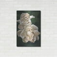 thumbnail image 3 of Luxe Metal Art 'Redolent' by Barbara Keith, Metal Wall Art, 24"x36", 3 of 9