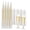 Gold, variant on Oasis Creations Plastic Champagne Flutes Glasses Set (100 Count) 4.5 Ounce - Clear Stem Cups 2 Pieces - Ideal for Birthday Party, Wedding Reception and Other Celebration!