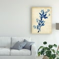 thumbnail image 3 of Trademark Fine Art 'Indigo Leaf Study I' Canvas Art by Vision Studio, 3 of 4