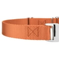 thumbnail image 6 of Country Brook Petz® Coral Heavyduty Nylon Martingale with Premium Buckle, Small, 6 of 6