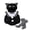 Black Cat, variant on RUINIXCW Newborn Baby Girl Boy Halloween Cat Costume Infant Fall Winter Cosplay Outfit Warm Fleece Sleeveless Hooded Zipper Romper Stockings Set