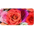 thumbnail image 1 of Color Roses Novelty Car Auto License Plate, 1 of 2