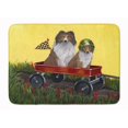 thumbnail image 1 of Carolines Treasures PPP3272RUG Tapis en Mousse à Mémoire de Forme Lavable en Machine Sheltie Sheepdog Express 19 x 27 Po, 1 of 1