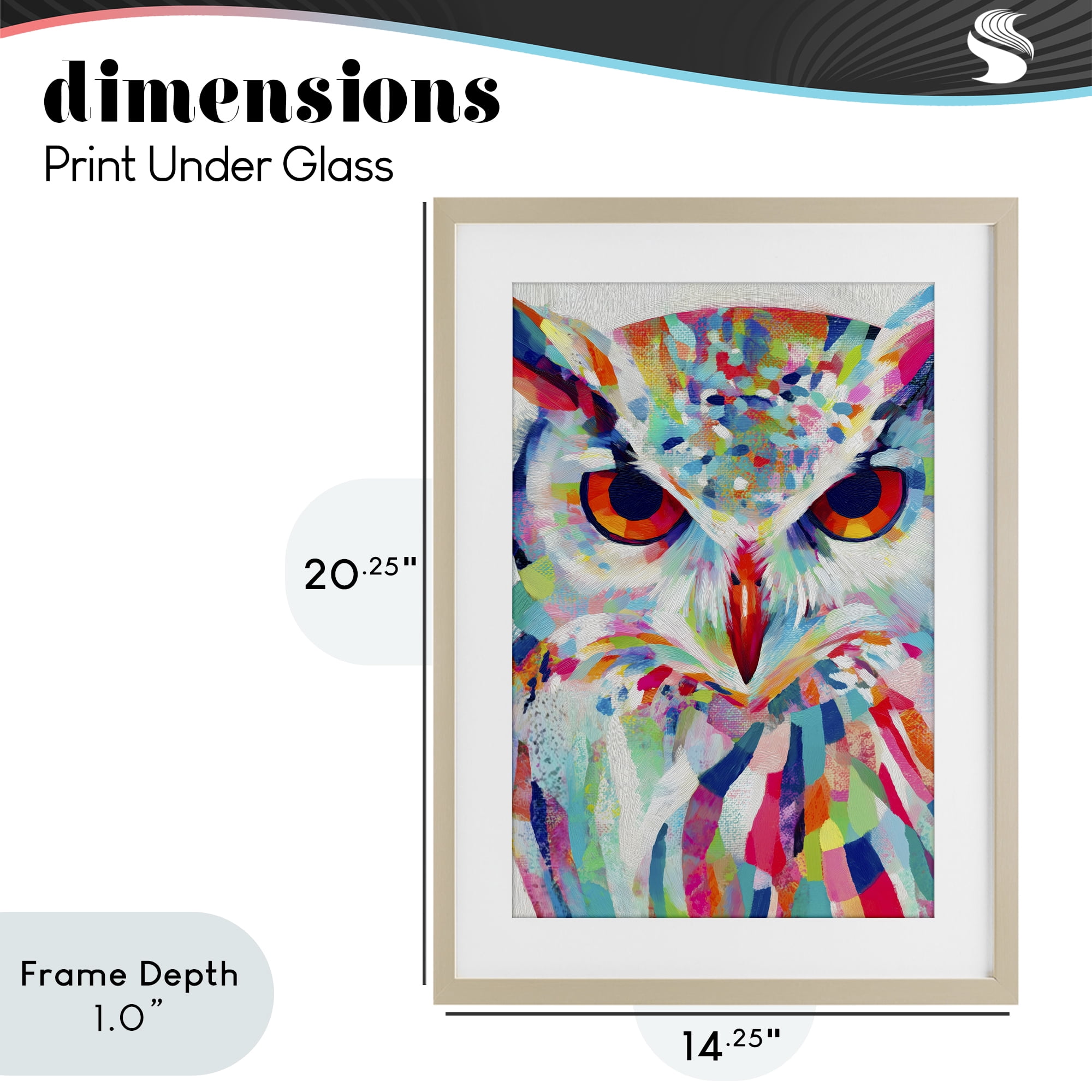Stupell Industries Expressive Owl Gaze Birch Framed Print Under Glass, design by Chromatic Storm Studio