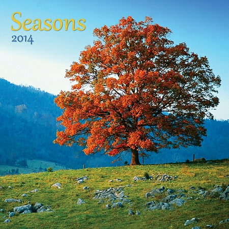 Avalanche Seasons 2014 Wall Calendar
