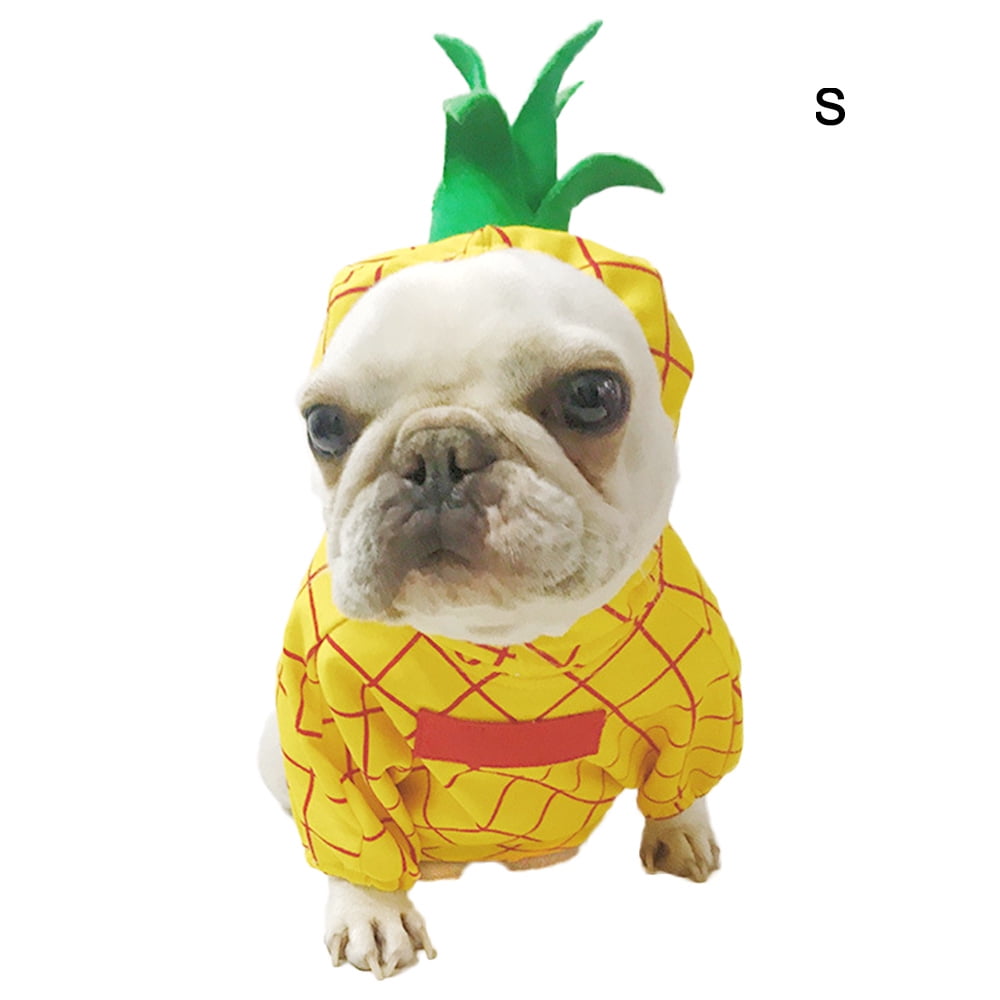 cat pineapple costume