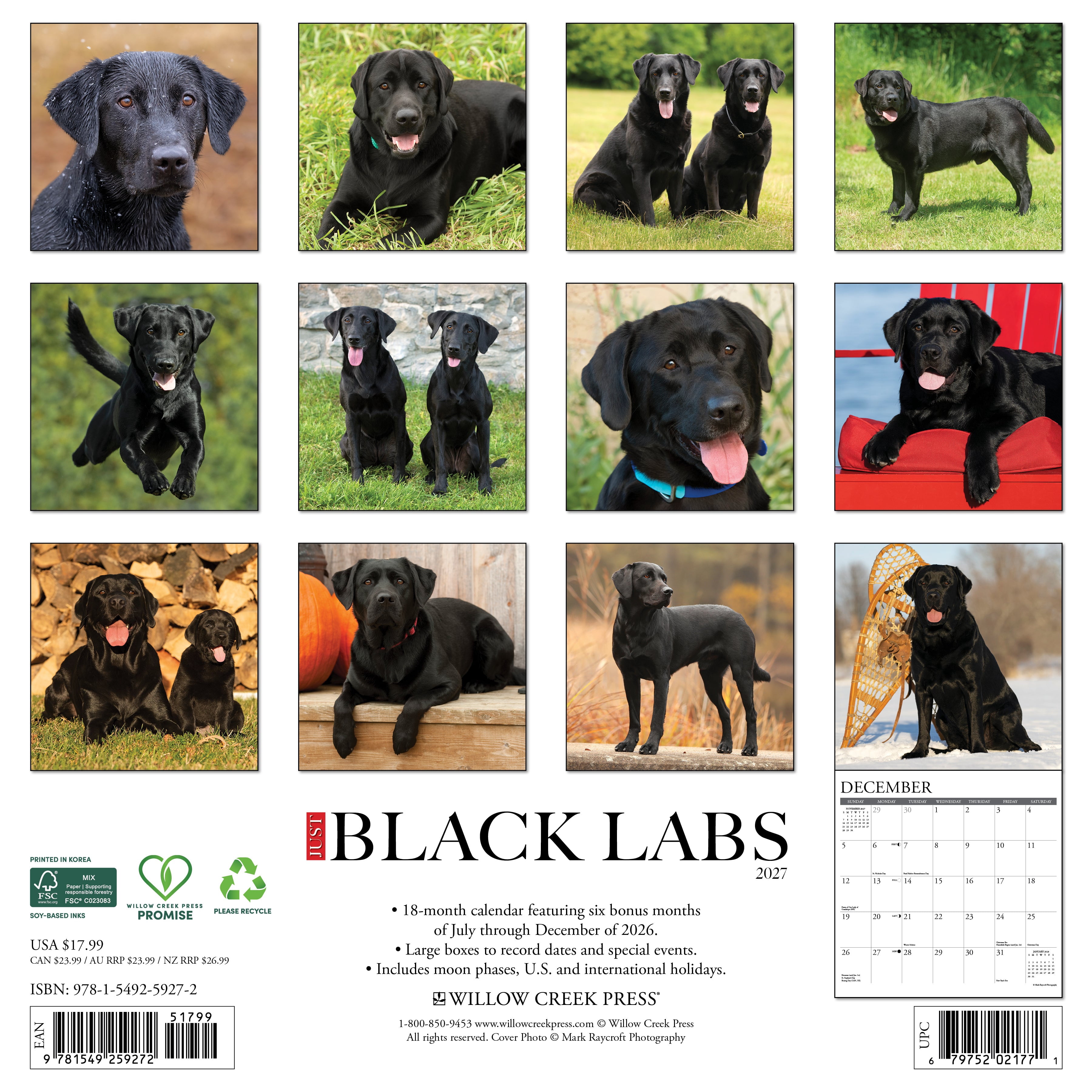 Willow Creek Press, Black Labs 2027 Wall Calendar