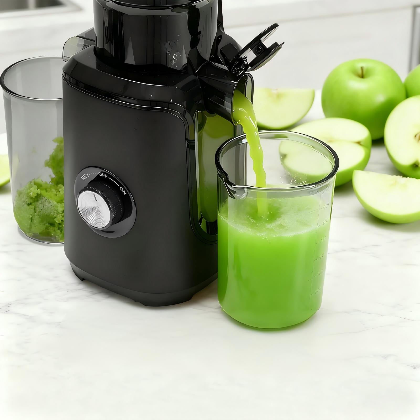 LIFERECORD Cold Press Juicer, 4.25" Extra Wide Mouth Masticating Juicer Machine, Easy to Clean Slow Juicer for Whole Fruits Vegetables, High Juice Yield, Self Feeding