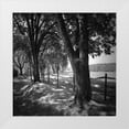 thumbnail image 3 of Alan Hausenflock 12x12 White Modern Wood Framed Wall Art Titled - Summer Stroll Square II, 3 of 5
